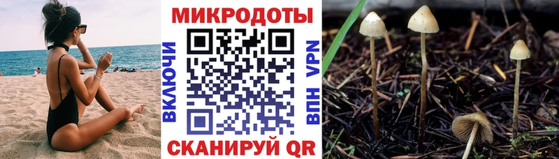 Псилоцибиновые грибы прущие грибы  где найти наркотики  Тбилисская 