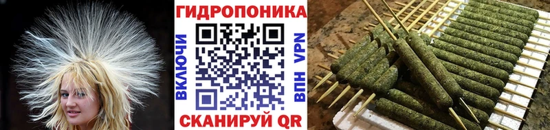 Шишки марихуана Bruce Banner  OMG как войти  darknet наркотические препараты  Тбилисская 